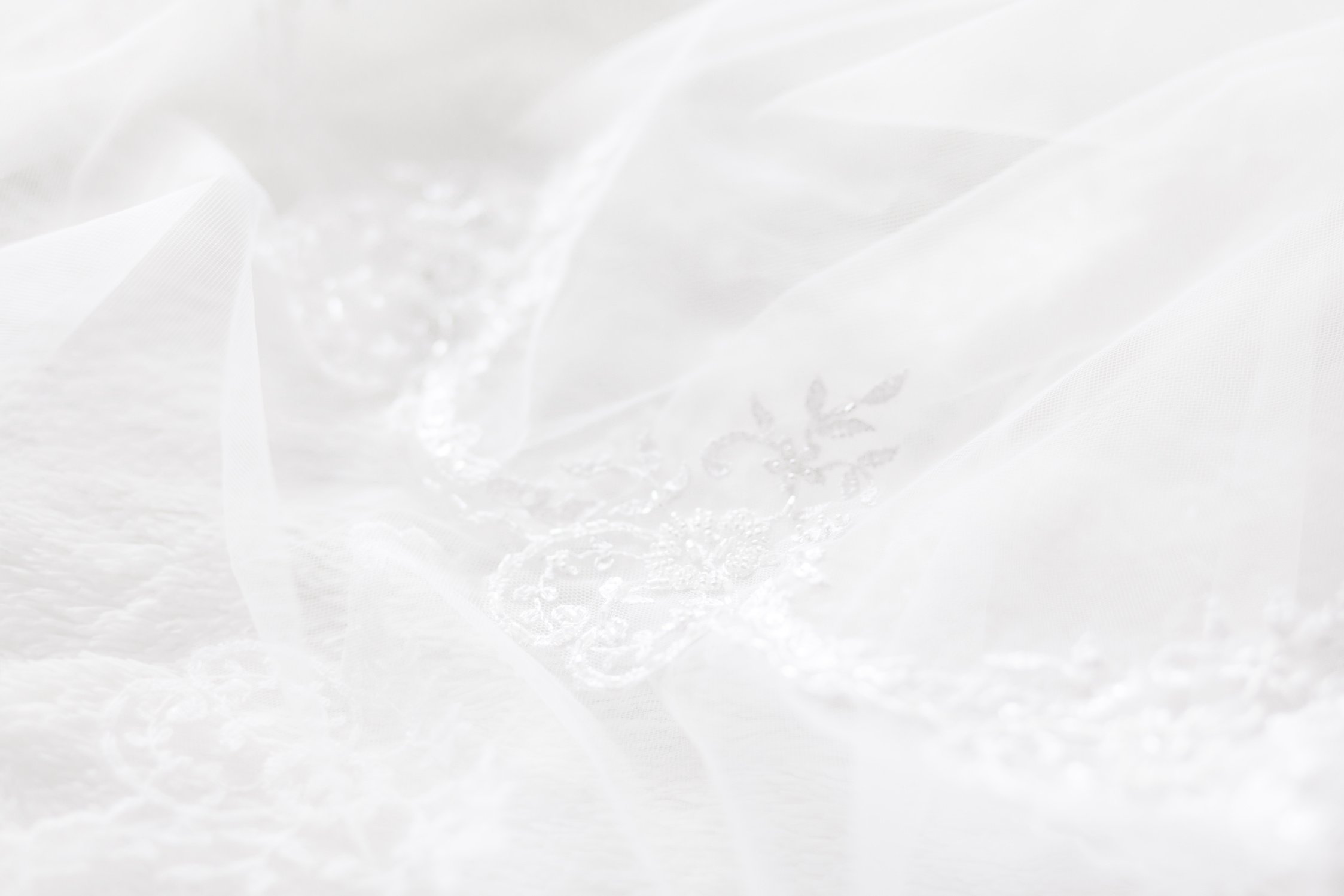 Brides Veil with Embroidered Elements